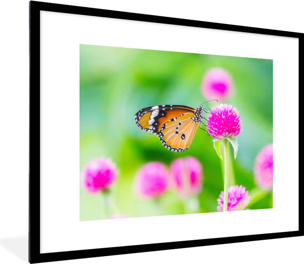 MuchoWow Gerahmtes Poster Landleben - Schmetterling - Distel - Blume 80x60 cm - Poster mit Schwarzem Bilderrahmen Wandposter Rahmen Foto Bilder -...