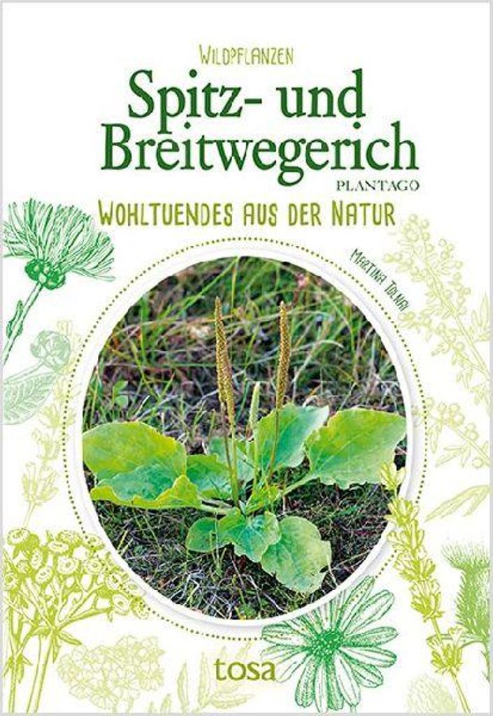 Spitz- und Breitwegerich Produktbild 