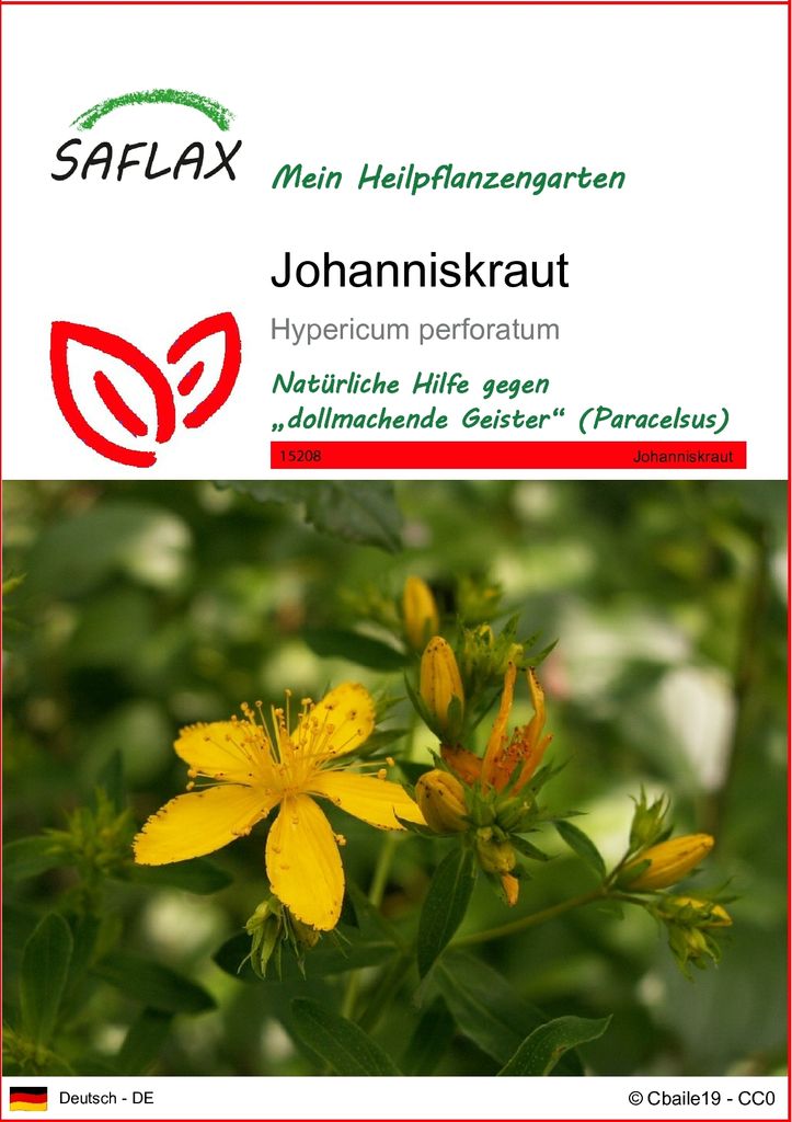 SAFLAX - Johanniskraut - Hypericum perforatum - 300 Samen Produktbild 
