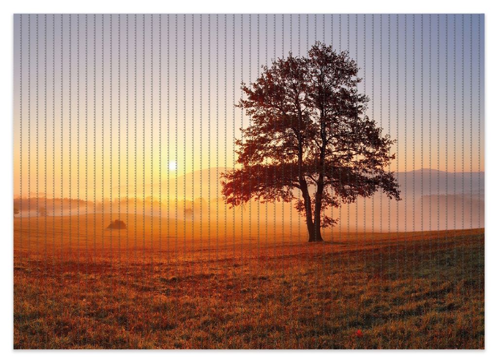 Wallario Duschmatte Antirutschmatte Badmatte Fußmatte Sonnenaufgang über der Wiese mit Nebel, Größe ca. 70 x 50 cm