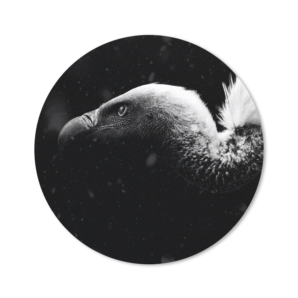 MuchoWow Mauspad Mousepad Nahaufnahme eines Geiers vor schwarzem Hintergrund - schwarz und weiß 40x40 cm - Mousepads - Maus Mat - Pad - Mausunte...