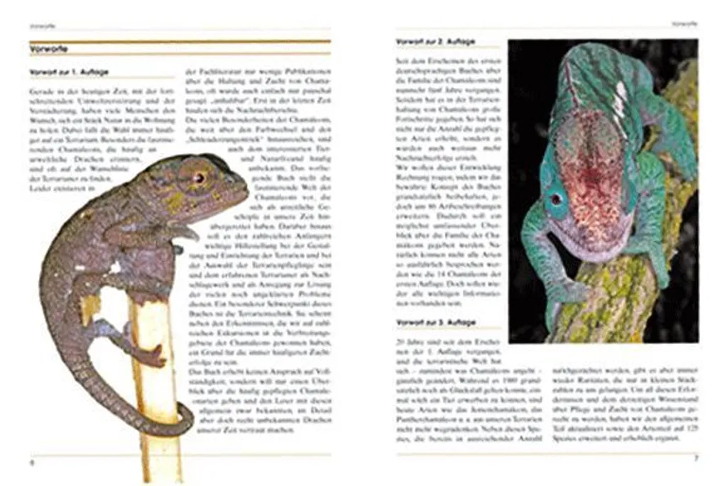 Guide pour Éleveurs de Caméléons : Chamäleons, Drachen unserer Zeit - 4