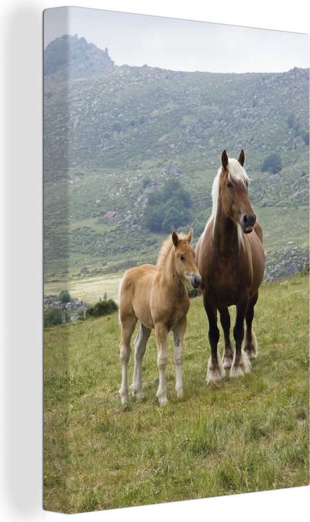 OneMillionCanvasses - Leinwandbilder - 90x140 cm, Haflingerpferd und sein Fohlen, Wandbilder Kunstdruck Wanddekoration - Wandschmucke - Schlafzimmer