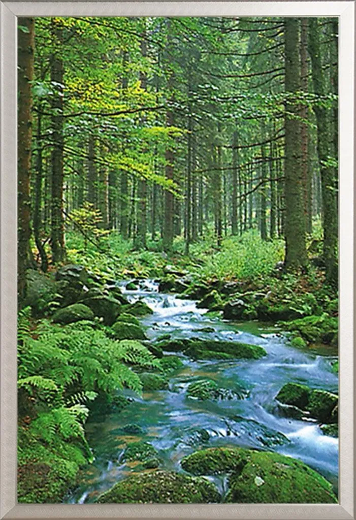 Offerta Quadro Forest Creek + Cornice Shinsuke Alluminio Argento - 1