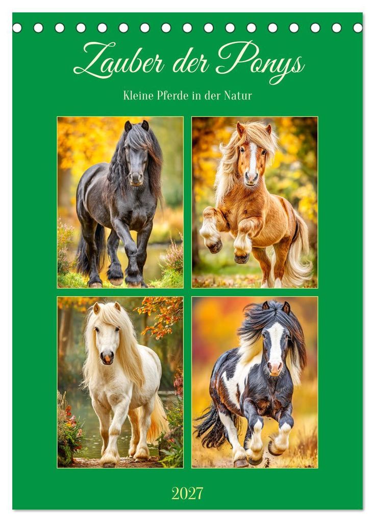 Zauber der Ponys. Kleine Pferde in der Natur (Tischkalender 2027 DIN A5 hoch), CALVENDO Monatskalender