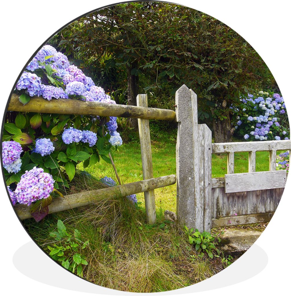 MuchoWow Aluminium Wandkreis Cottage-Garten mit Hortensien Ø 30 cm Wanddeko Modern Wohnzimmer - Wand Bild - Wohnzimmer - Runde Bilder - Alubilde...
