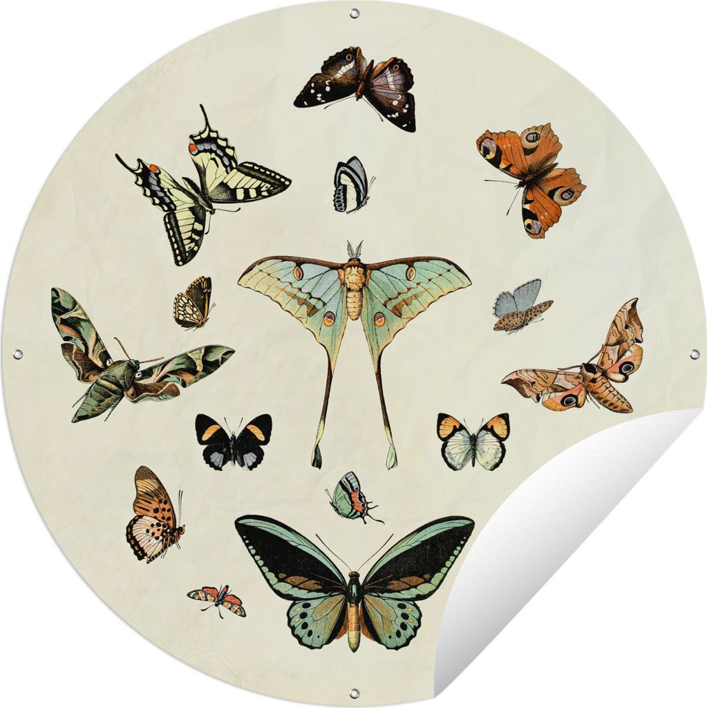 MuchoWow Gartenposter Outdoor-Poster Rund Schmetterling - Tiere - Vintage Ø 90 cm Gartendeko Rundes Poster draußen