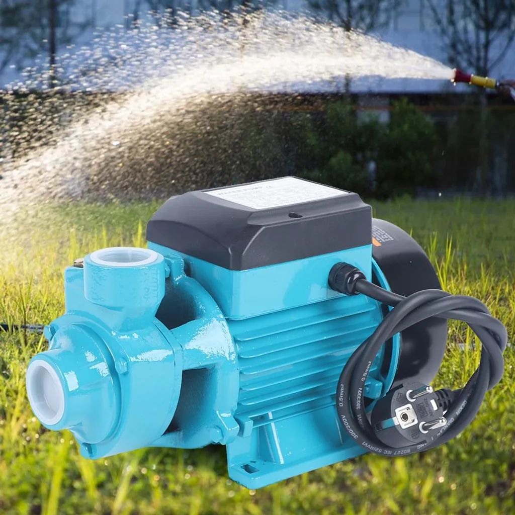 Pompe à eau 370W 220V avec conception à tourbillon efficace débit stable