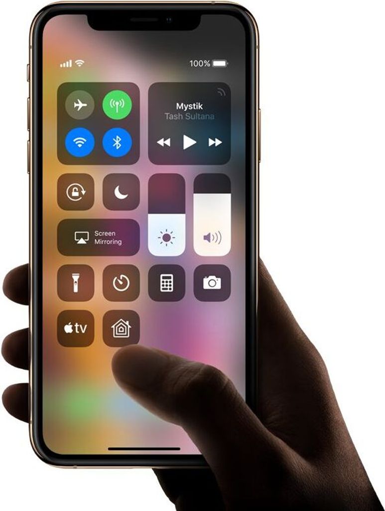 Apple iPhone XS 64GB zlatý Obrázek produktu 11