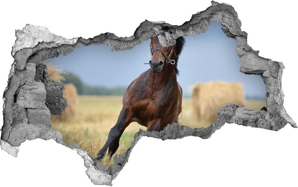Selbstklebender Loch-3D-Aufkleber 95x73 cm galoppierendes Pferd