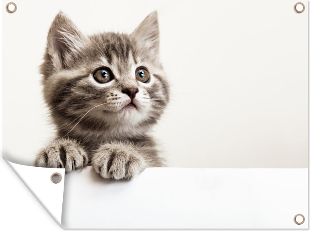 MuchoWow 80x60 cm Outdoor-Poster Gartendeko Sichtschutz Garten Poster für den Garten Katze - Grau - Tiere