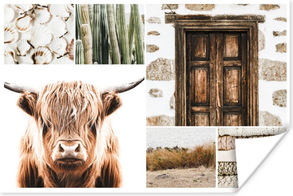 MuchoWow Poster Schottischer Highlander - Collage - Weiß - Beige 120x80 cm - Bilder