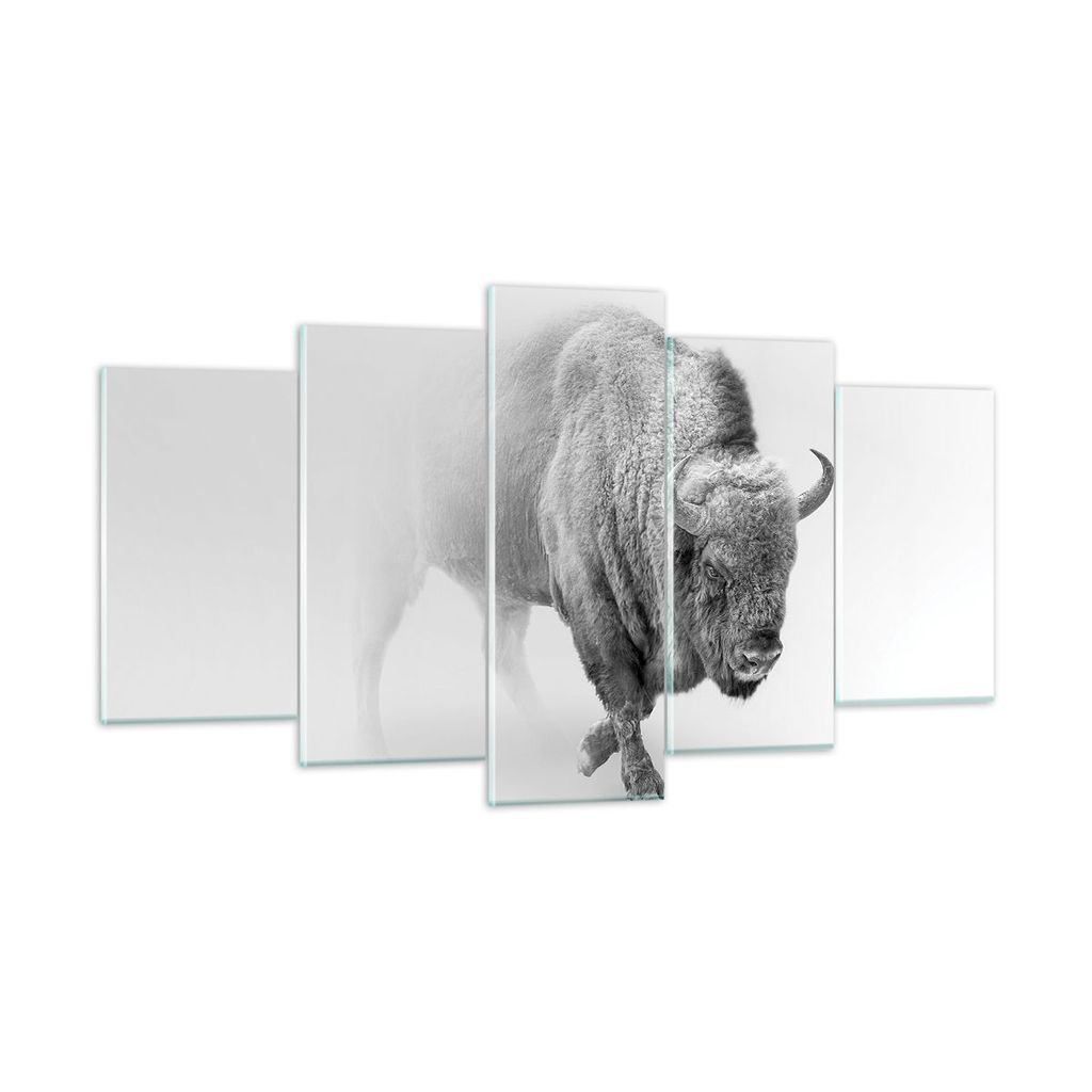 Bilder auf glas - 5 Teile - Wisent Schwarzweiß Licht - 160x85cm - Glasbilder - Wandbilder - Bilder - zum Aufhängen bereit - Wanddekoration aus Gl...