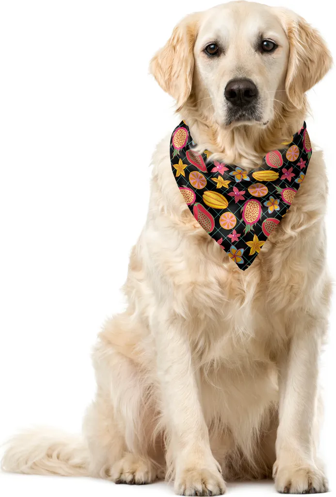 Offerta Bandana Cani ABAKUHAUS 55x55cm - Pratica e Coloratissima
