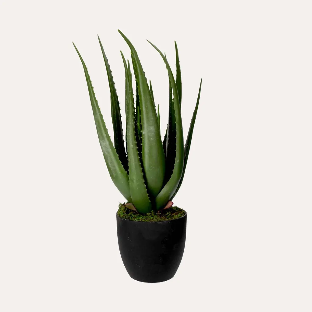 Grande plante artificielle Aloe Vera 66 cm aspect réel avec pot lesté