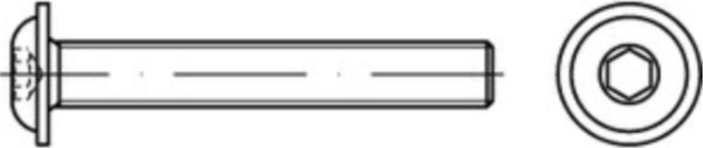 Reyher FLAKO-Schr. mit Bund ISO 7380 -2 010.9 M 5 x 10 (500 Stück)