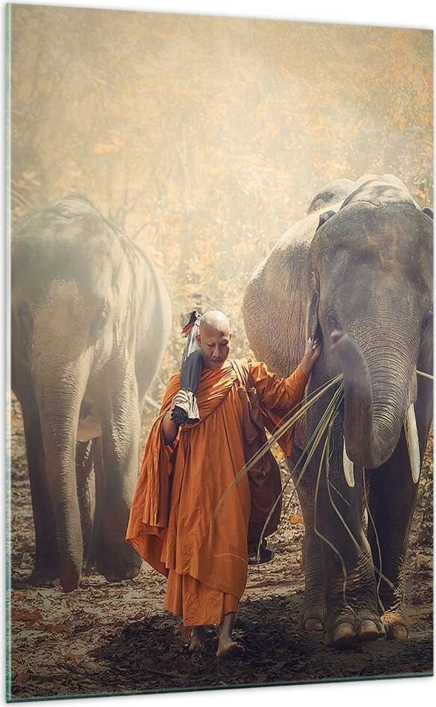 Bilder auf glas - Einteilig - Elefant Mönch Dschungel - 70x100cm - Glasbilder - Wandbilder - Bilder - zum Aufhängen bereit - Wanddekoration aus G...
