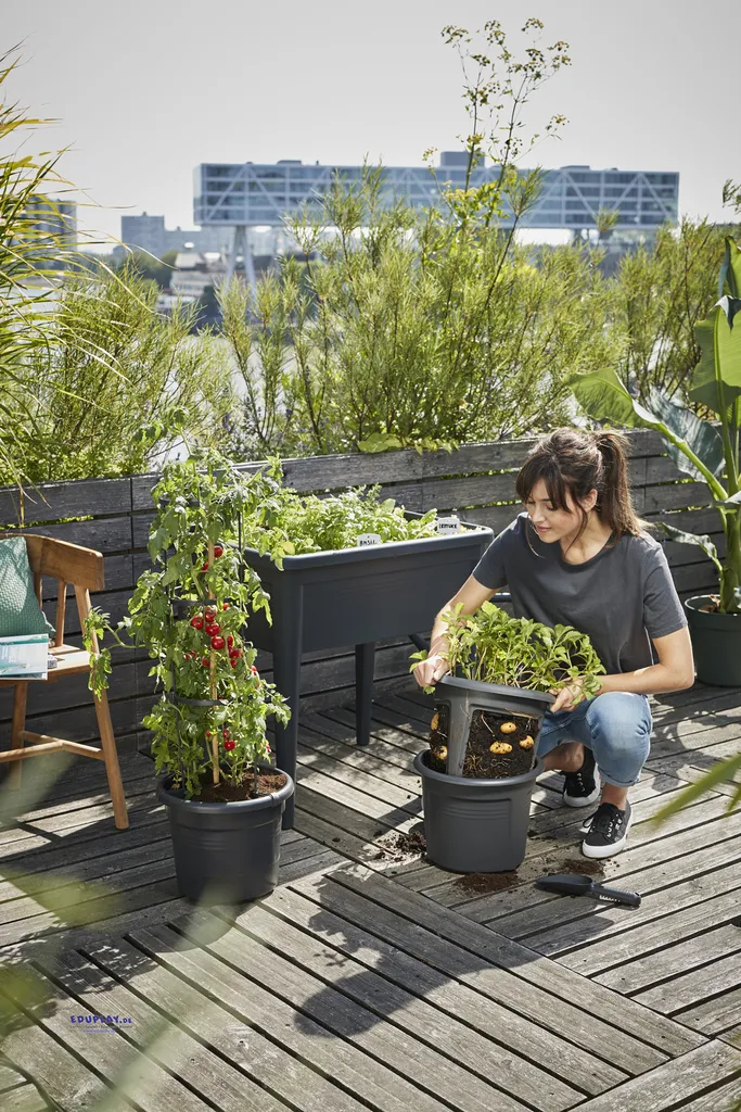 Pot à Tomates Spécial Croissance - Résistant aux UV et Intempéries