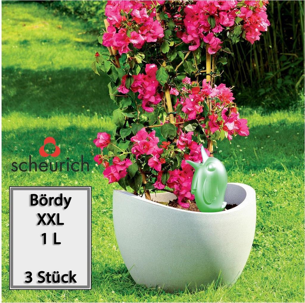 Scheurich Wasserspender Bördy XXL | 3x Grün | 1000 ml Füllmenge | Bewässerungskugel klein mit Ton Fuß | Wasserspender Pflanzen und Blumen Terr...