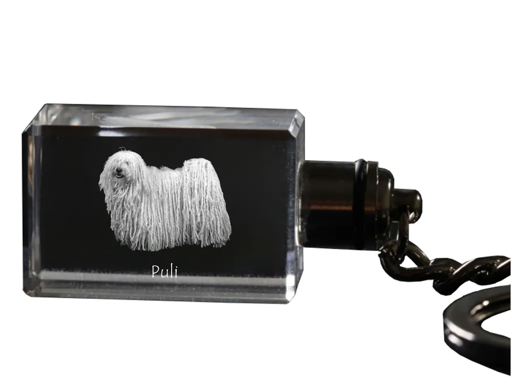 Puli Portachiavi Luminoso in Cristallo: Regalo Personalizzato Art-Dog - 4