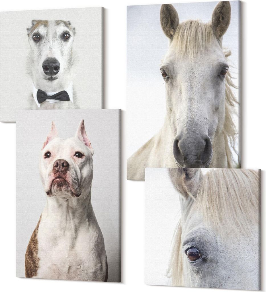 Leinwandbild Set 4-teilig – Modernes Wandbild – Polycanvas Kunstdruck – Abstrakte Bilder – Hochwertige Wandkunst – 2x 40x40 cm + 2x 40x60...