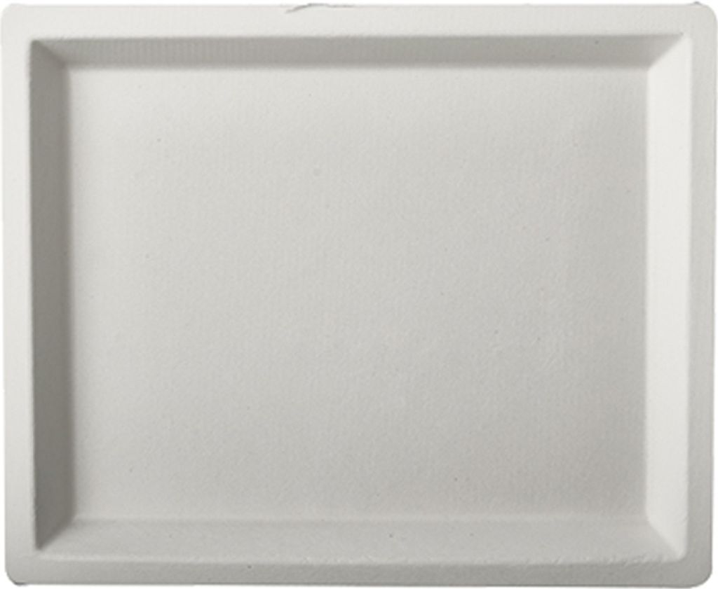 PAPSTAR Zuckerrohr-Teller "pure" rechteckig 140 x 170 mm Produktbild 