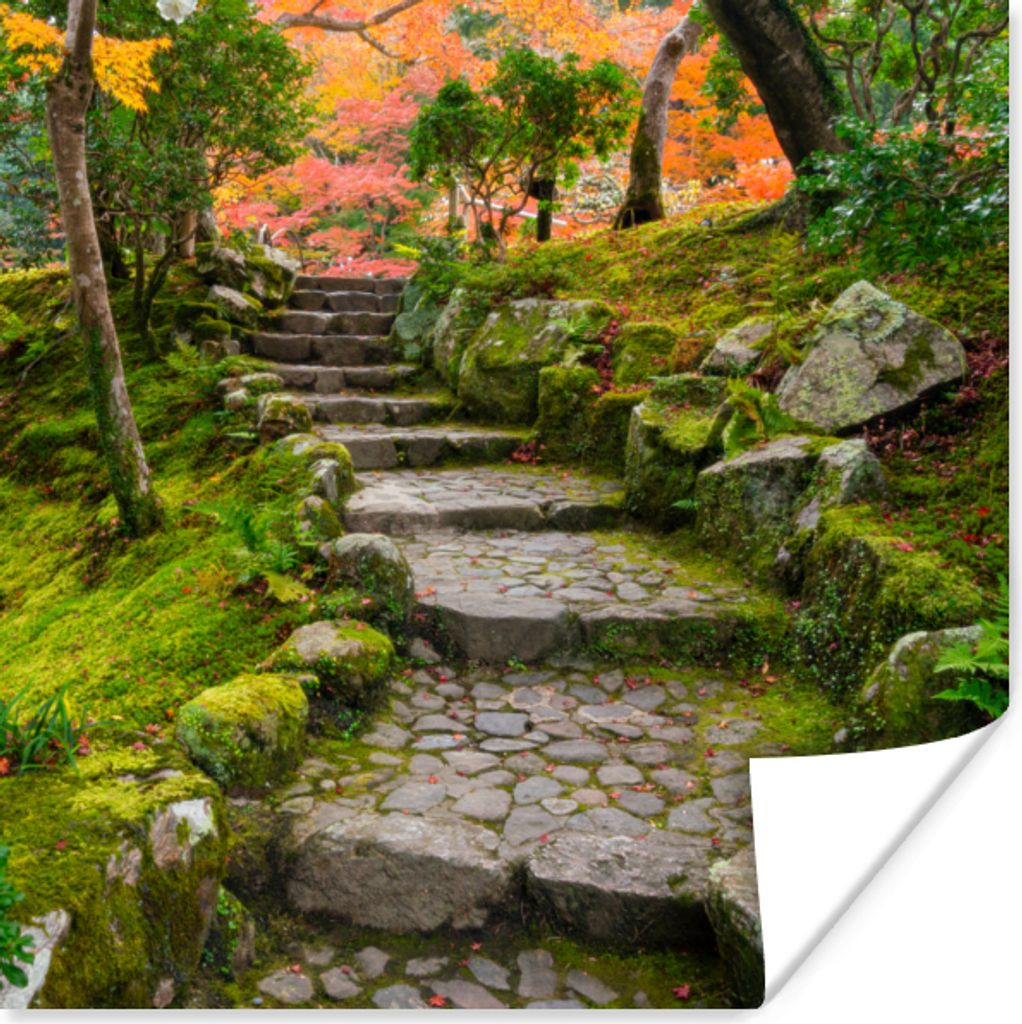 MuchoWow Poster Natur - Steine - Kröte - Moos - Japanisch 100x100 cm - Babyzimmer