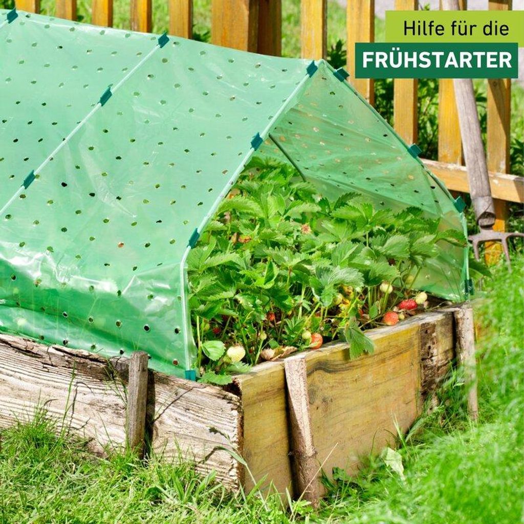 Windhager Frühbeet-Folie, 1.5 m, gelocht für optimalen Produktbild 