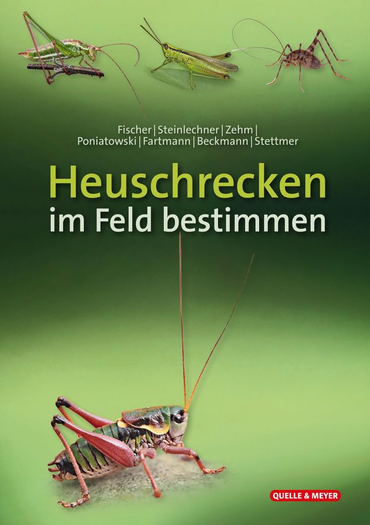 Heuschrecken im Feld bestimmen (Quelle & Meyer Bestimmungskarten)