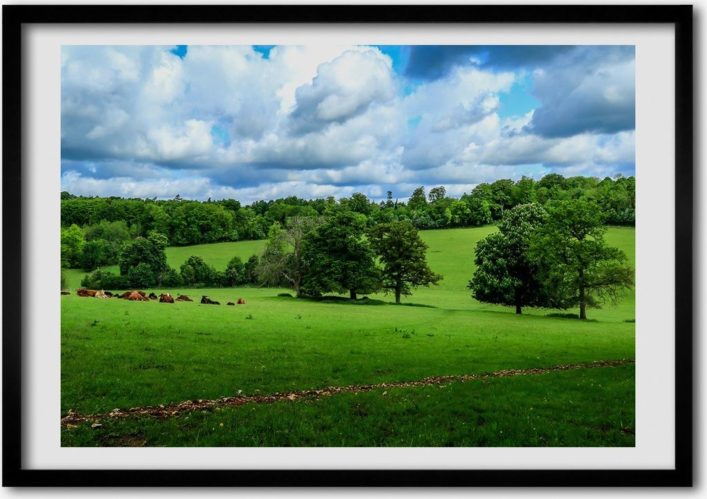 Bild - Bilder - Bilderrahmen - 70 cm x 50 cm - MDF-Rahmen, Wandkunst Grüne Hügel