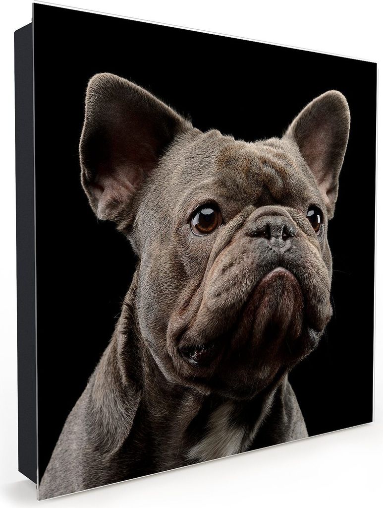 Nachbildung-Schlüsselkasten, Magnetpinnwand und Memoboard mit Glasfront Motiv Portrait Bulldogge