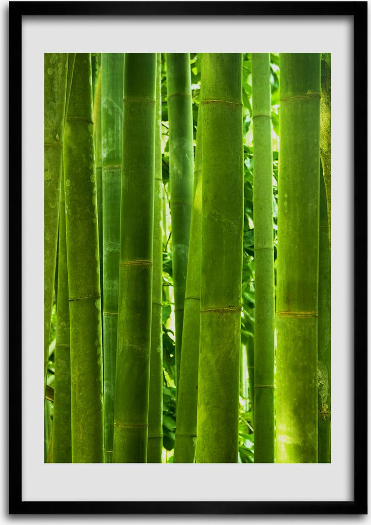 Bild - Bilderrahmen - Foto - 70 cm x 100 cm - MDF - Rahmen - Wandkunst - Bambus
