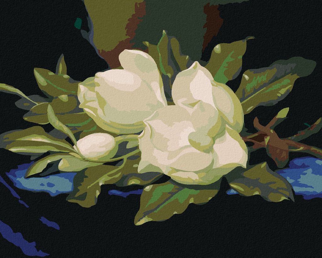 Zuty - Malen nach Zahlen - MAGNOLIE AUF BLAUEM SAMT, 40x50 cm, mit Keilrahmen (bereits gespannt)