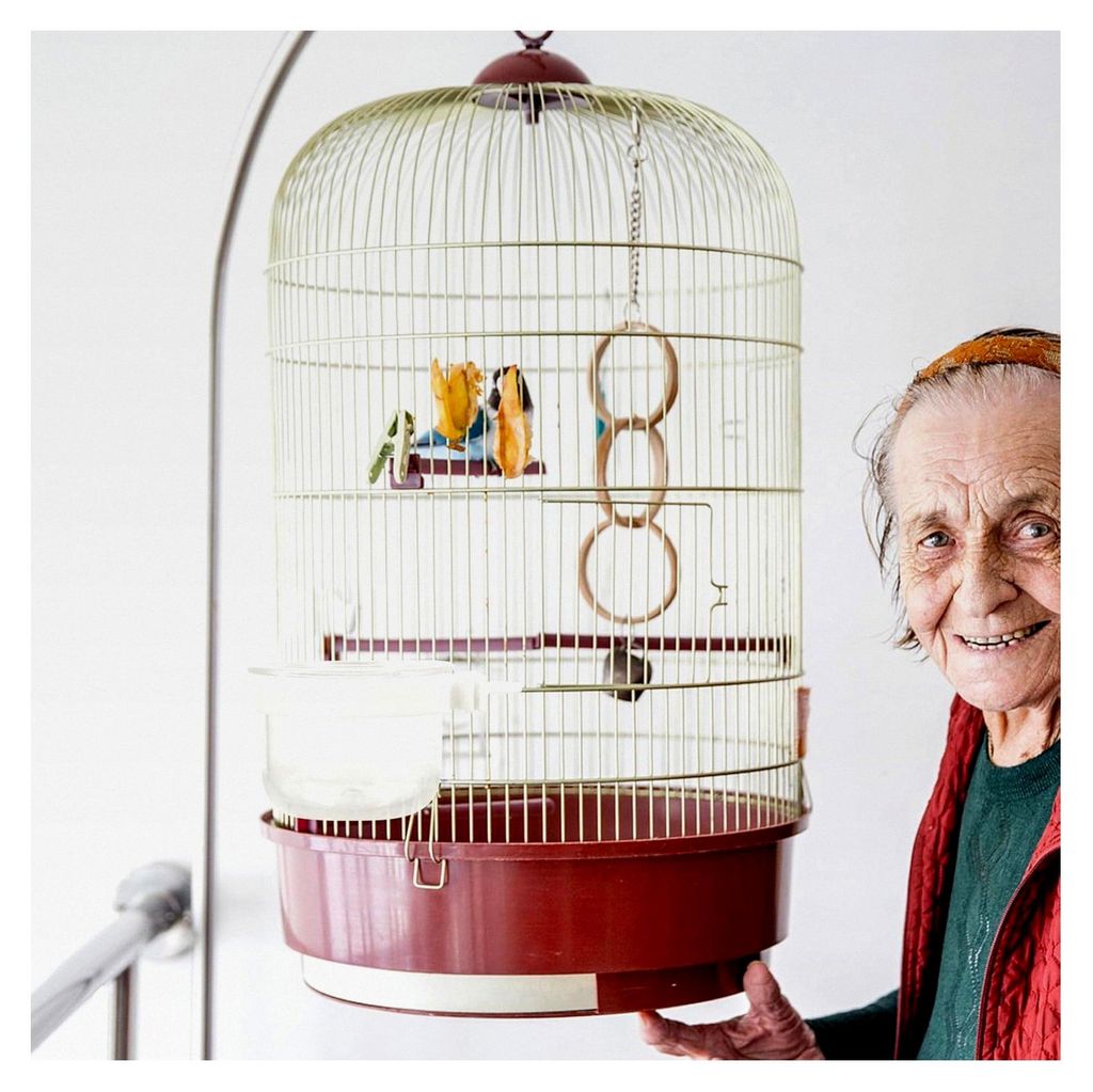 5 Stück transparente Acryl-Vogelfutterboxen für Papageien, hängende Futternäpfe, bissfest und langlebig, leicht zu befüllen, Vogelfutterzubeh...