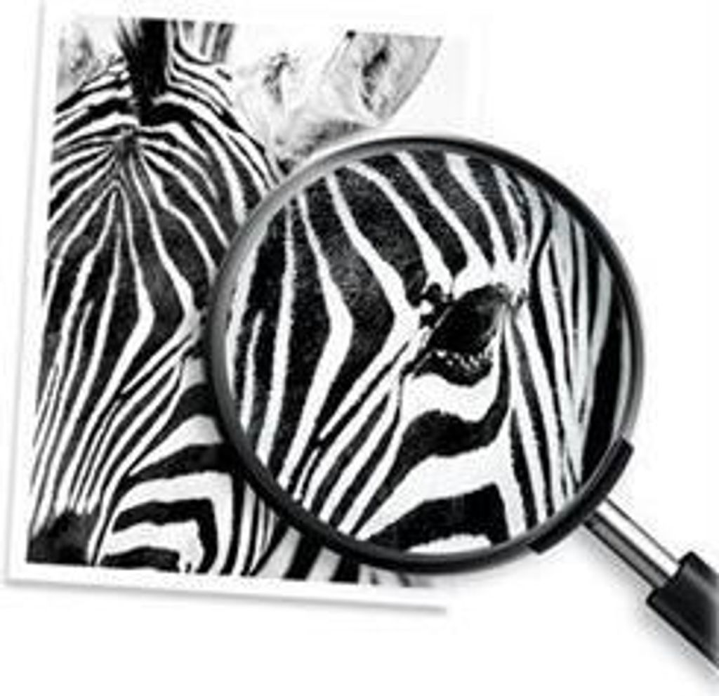 HP 912XL Schwarz Original Druckerpatrone mit hoher Reichweite, Hohe (XL-) Ausbeute, Schwarz, Tinte auf Pigmentbasis, 18 ml, 1 Stück(e), 720 Seiten