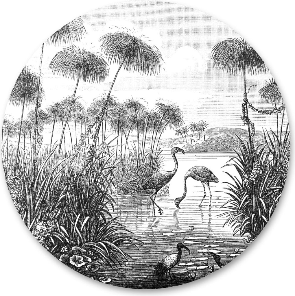 Sticker Vögel Pflanzen Natur Landschaft Skizze KREIS Wanddeko Wandtattoo Aufkleber für Wohnzimmer Schlafzimmer 100 cm x 100 cm