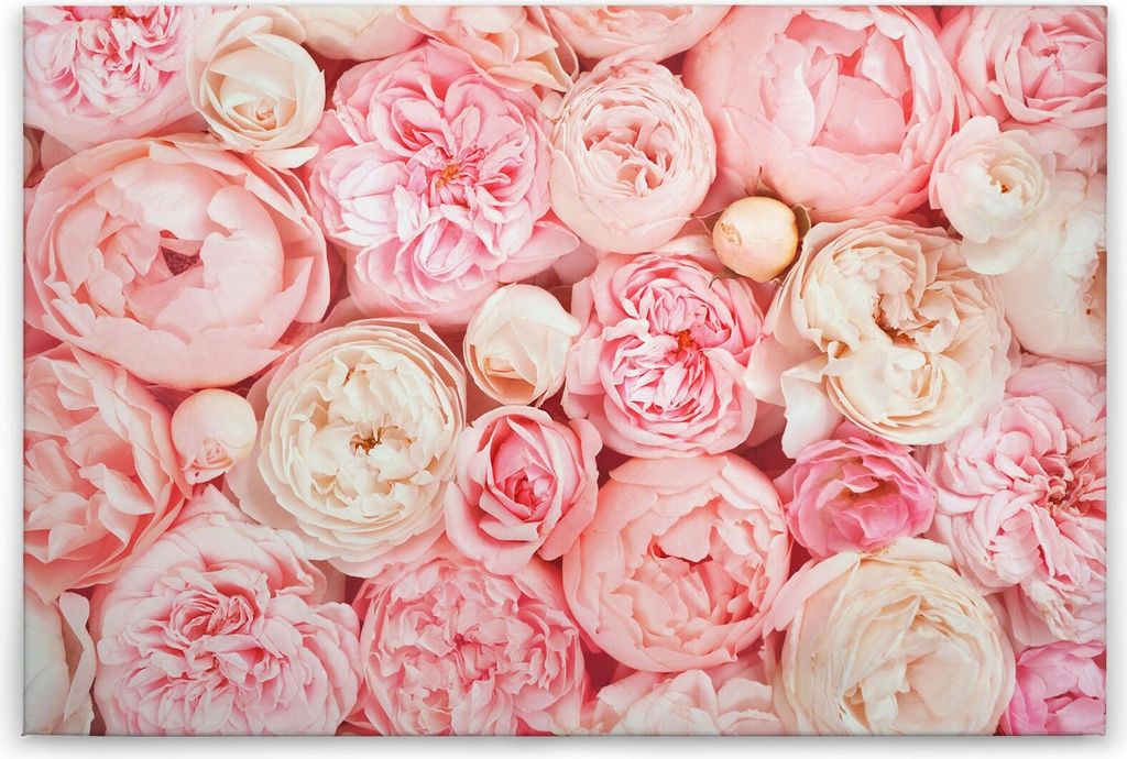 Leinwandbild Blumen 60 x 90 cm - Wandbild Rosa Tadessi Leinwandbild Rosen Floral - Keilrahmen Wohnzimmerdeko Wanddeko Wandgemälde