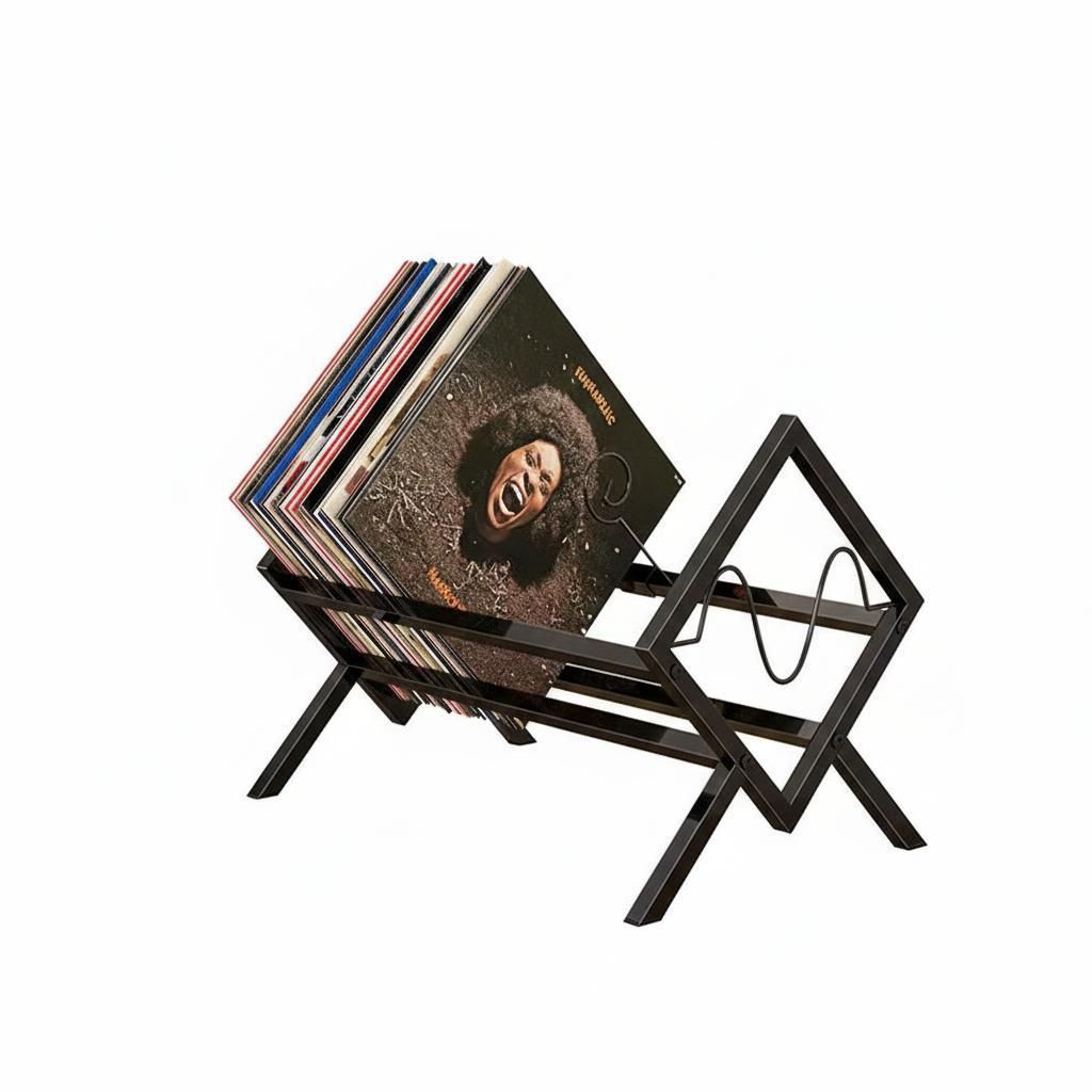 AIORBER Vinyl Schallplattenständer Metall LP CD Magazinhalter Bücherregal Desktop Aufbewahrung Präsentationsständer, Schwarz