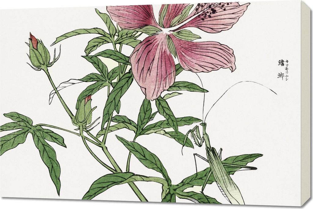 Bild 90x60cm Blume Illustration Morimoto Toko Japanisch Vintage für das Wohnzimmer