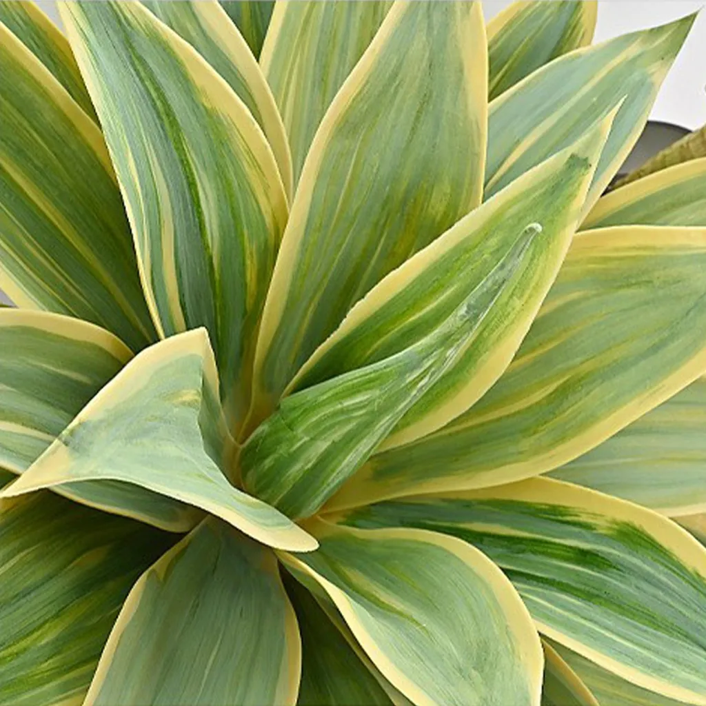 Plante à feuilles artificielles réalisée à vie et facile à nettoyer
