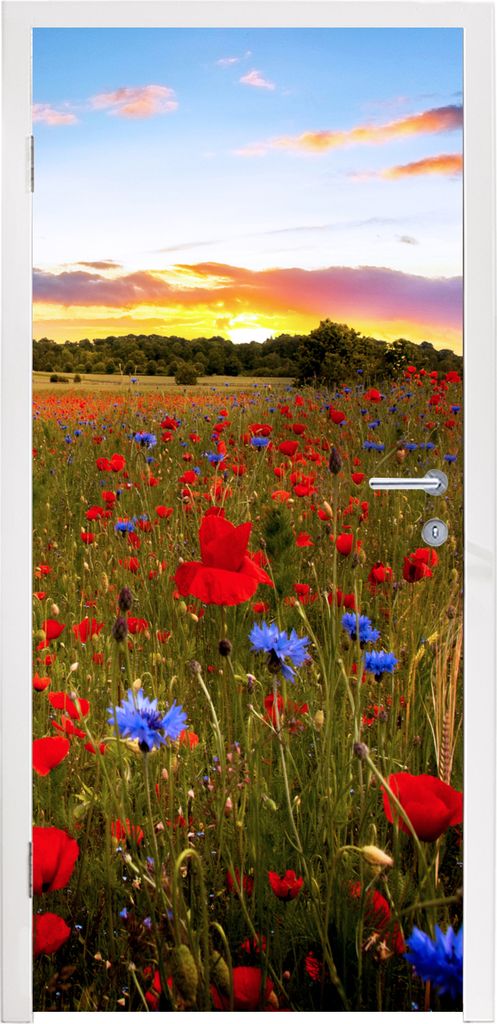 MuchoWow Türtapete Selbstklebende Türfolie Blumen - Sonnenuntergang - Farben 85x205 cm Türposter Türaufkleber Klebefolie Türklebefolie - Tü...