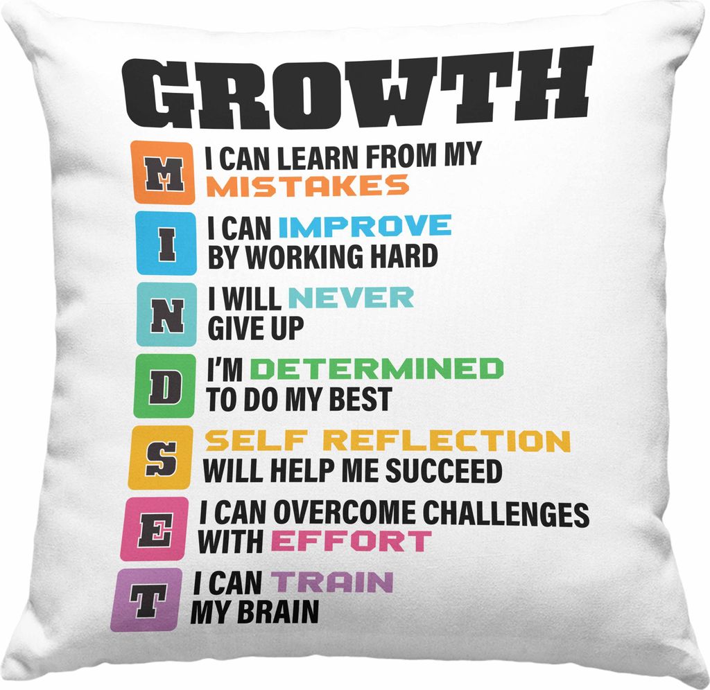 Trendation - Motivation Spruch Deko-Kissen mit Füllung 40x40 Geschenk Selbstständige Entrepreneur Gechenkidee Boss (Rosa)