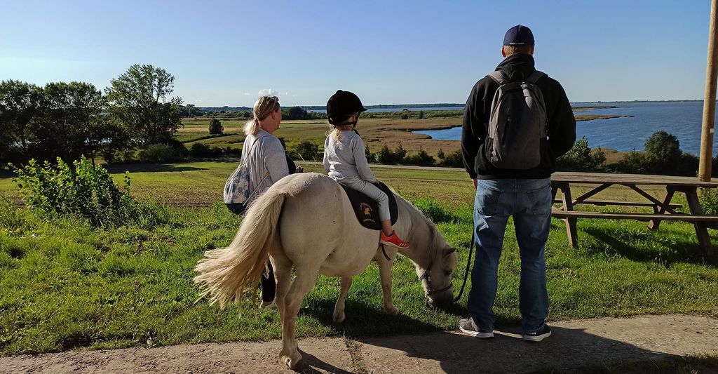 mydays Pony Spaziergang für 2 Kuhlen-Wendorf; Erlebnis verschenken oder selbst erleben; Gutschein für 1 Person(en)