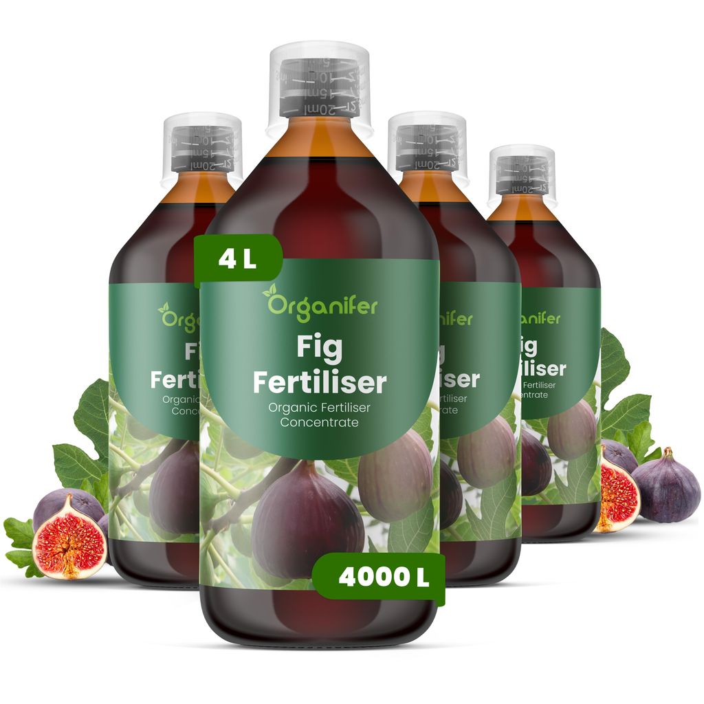 Fig Tekuté Hnojivo 4x1 L – 2-1-8 NPK – Pro Figy & Ovocné Obrázek produktu 