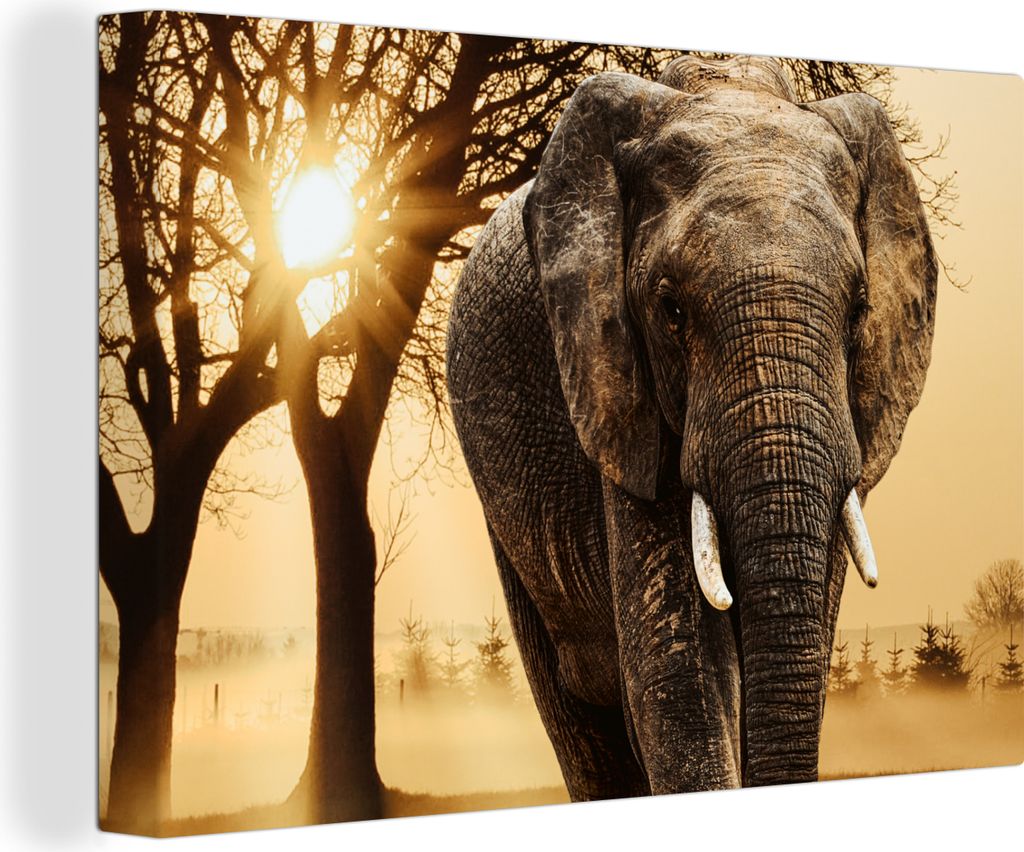 OneMillionCanvasses - Leinwandbilder - 140x90 cm, Elefant - Baum - Sonne, Wandbilder Kunstdruck Wanddekoration - Foto auf Leinwand - Gemälde auf...