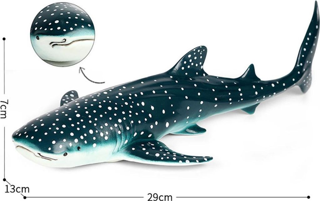Simulation animal marin Modèle requin baleine Big Buckel Image du produit 