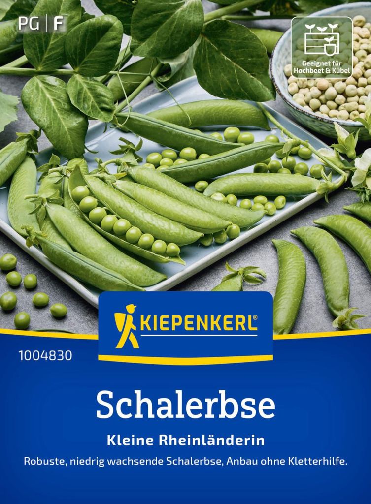 Kiepenkerl Saatgut Schalerbsen Kleine Rheinländerin für ca. Produktbild 