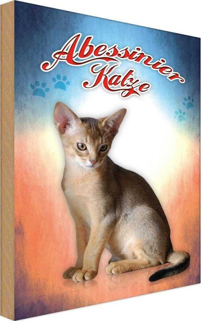 vianmo Holzschild 18x12 cm Katze Abessinier Tier Haustier