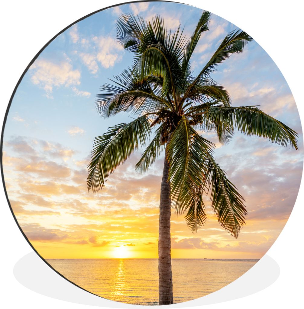 MuchoWow Aluminium Wandkreis Strand - Palme - Sonnenuntergang Ø 90 cm Wanddeko Modern Wohnzimmer - Mauerkreis - Wandbilder - Runde Bild - Bild a...