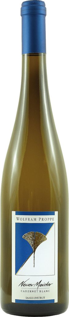 Cabernet Blanc QbA trocken Neuer Meister 2021 Saale-Unstrut | Deutschland | 12,5% vol | 0,75 l